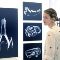 Первозданная Россия в Манеже 3 марта :: Михаил Бибичков