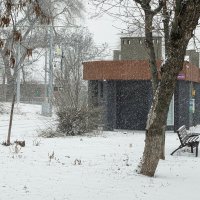 Вид на придорожный павильон во время сильного снегопада :: Константин Бобинский