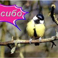 ... :: "The Natural World" Александер ... :: "The Natural World" Александер