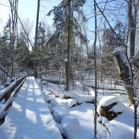 последние дни зимы :: ИННА ПОРОХОВА