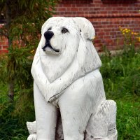 . :: Дмитрий Шароватов