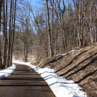 Дорожка в парке :: Aida10 