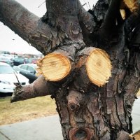 Кто-то "дорисовал"...:) :: Валерий Кокорев