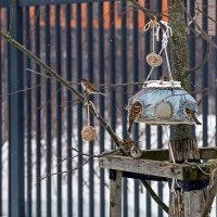 У столовой оживлённо :: Валерий Иванович