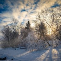 утро.... :: Ольга Cоломатина