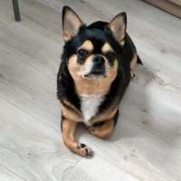 Боня :: Елена 