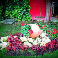 Клумба. :: Владимир Драгунский Клумба. :: Владимир Драгунский