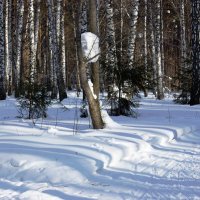 Мартовским днем в парке :: Галина Нестратова