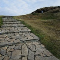 Лисья горка :: Елена Шаламова