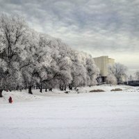 Март,но зима не сдаётся ... :: Ravile 