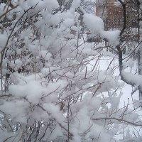 Зимний март :: Елена Семигина