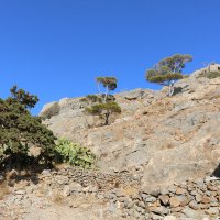 В горах Крита :: Ольга 