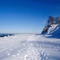 Февраль, побережье Балтийского моря, Калининградская область :: Рита Симонова