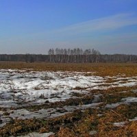 Троицк :: Tata Wolf