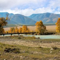 Мост через Чую (осень) :: елена беликова
