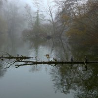 Призрачно все в этом мире бушующем, :: Юрий. Шмаков