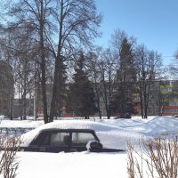 в окно повеяло весною :: Венера Чуйкова