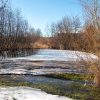 Вешние воды :: Геннадий Порохов