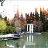В парке Дендрарий :: Валерий 