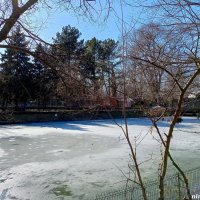 Март в ростовском зоопарке :: Нина Бутко