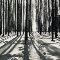 Мартовские тени :: Татьяна 