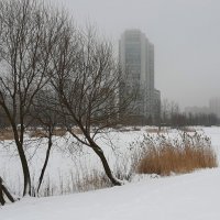 Зима :: Наталья Герасимова