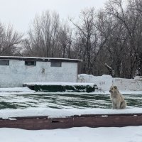 Тишина на танцевальной площадке.... :: Андрей Хлопонин