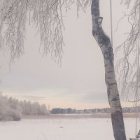 Весна на Вуоксе. :: Ольга 