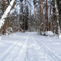 О минувшей зиме. :: Милешкин Владимир Алексеевич 