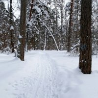 О минувшей зиме. :: Милешкин Владимир Алексеевич 