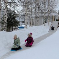 Зимние забавы :: Лариса С.