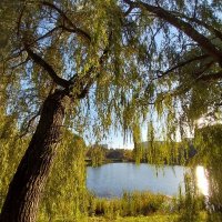 ... :: Маргарита Б