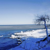 Февраль, Балтийское море и побережье, Калининградская область :: Рита Симонова
