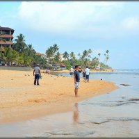 Пляжи Хиккадувы :: Mike Collie