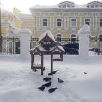 В городском парке :: Galina Solovova