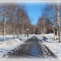 Робкие шаги весны ... :: Валентина Надсон