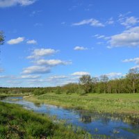 Местная река. :: Виктор 