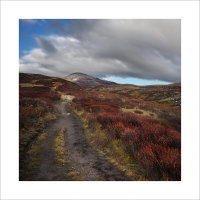 * :: Александр Иванов