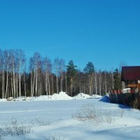 хорошие  хозяева :: Владимир 