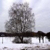 Март в Кусково :: Татьяна Тюменка