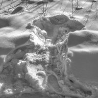 Нарушитель зимней красоты будет найден по отпечатку. :: Игорь Викторов