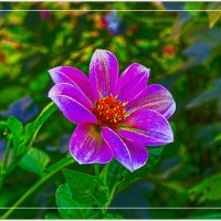 Поздравление фотографиням :: Владимир Кроливец