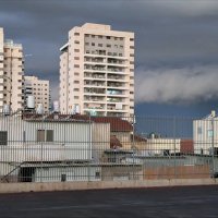 Осень, новый день :: Валерий Готлиб