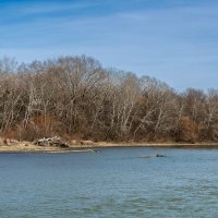 Река Кубань :: Игорь Сикорский