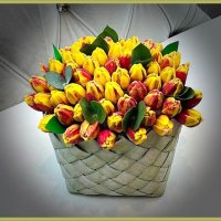 Любителям шоколада :: Ольга Довженко