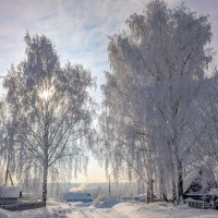 Нарядные березки :: Анастасия Логинова