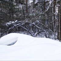 Вот такое у нас начало марта :: Валентина *