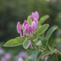 *** :: Александр. AVG100 ---