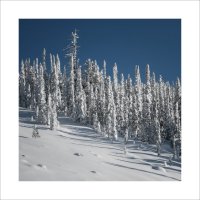 * :: Александр Иванов