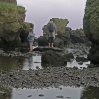 В поисках моря.. Отлив. Бухта Тихая. :: ИРЭН@ .